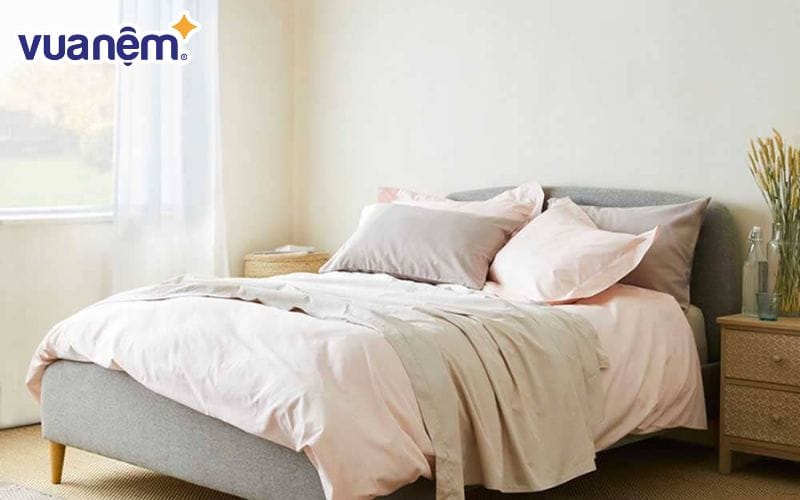 Cửa hàng nội thất Hoa Lửa