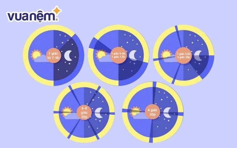 Everyman là phương pháp ngủ đa pha