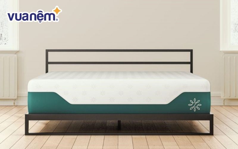 Đệm Zinus lò xo hút chân không Extra Firm Spring
