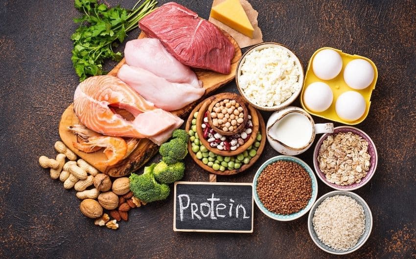protein có tác dụng gì