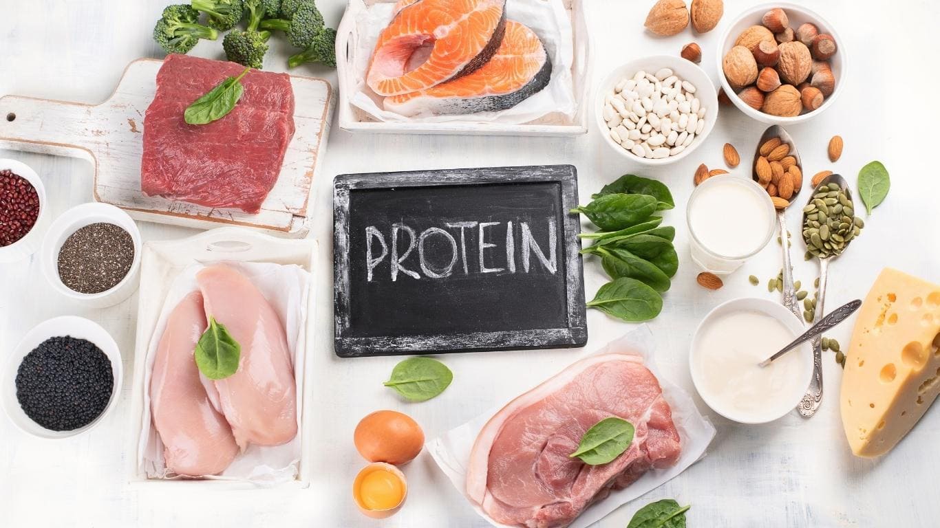 protein là chất gì
