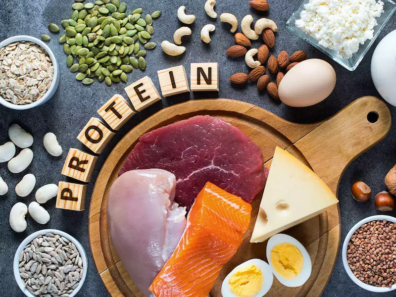 Các loại thực phẩm chứa lượng protein dồi dào