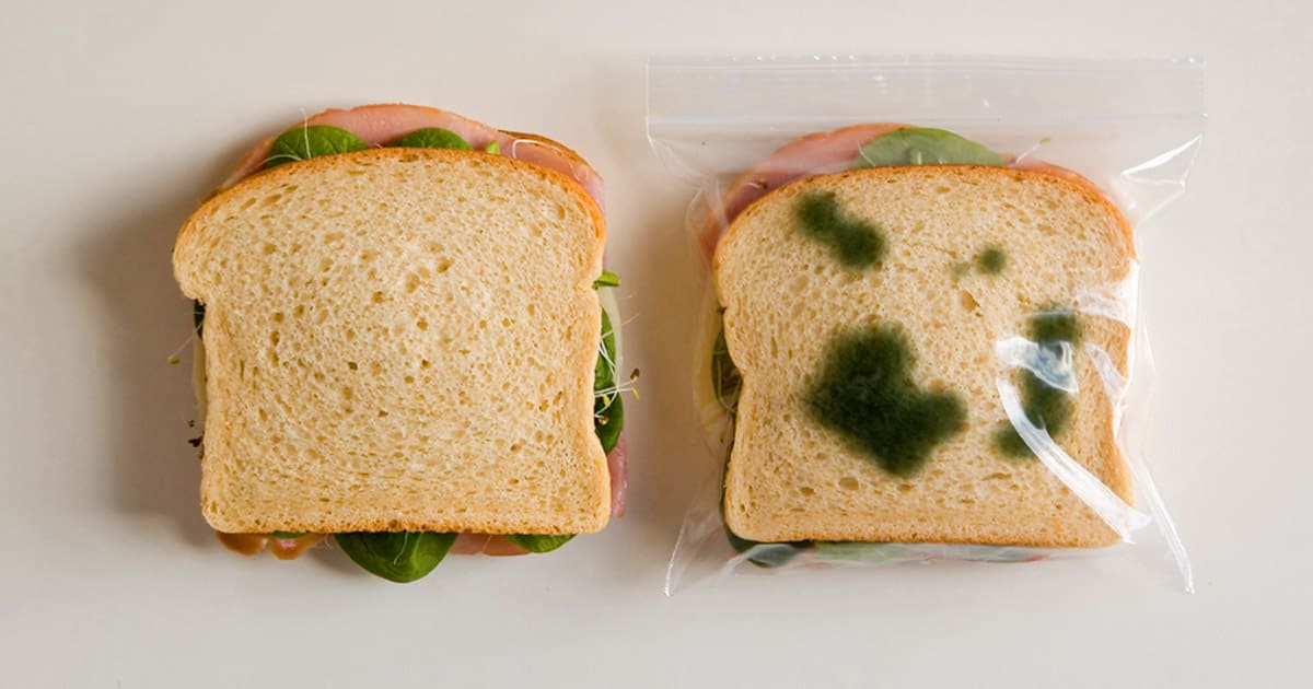 cách bảo quản bánh sandwich 