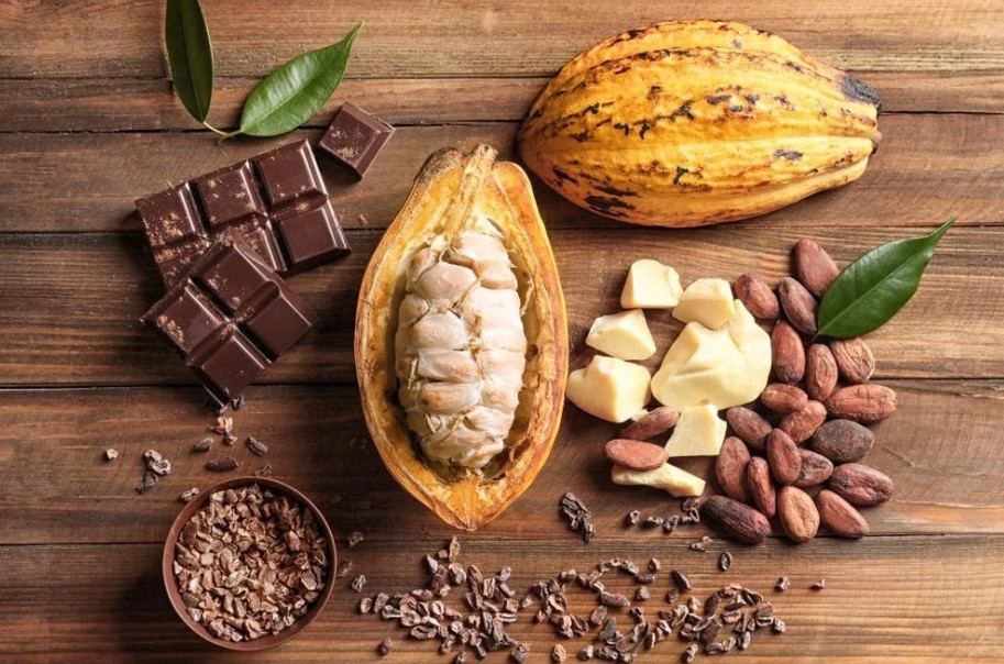 tác dụng của bột cacao