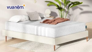 Nệm cao su foam là gì? Top 5 mẫu nệm cao su foam tốt