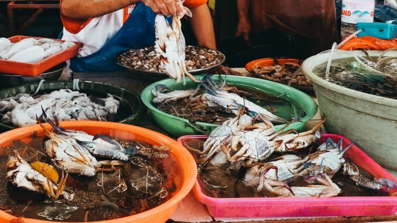 cách chọn cua ghẹ ngon 