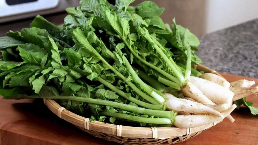 Củ cải đặc biệt là củ cải trắng đem lại rất nhiều lợi ích quý giá cho sức khỏe