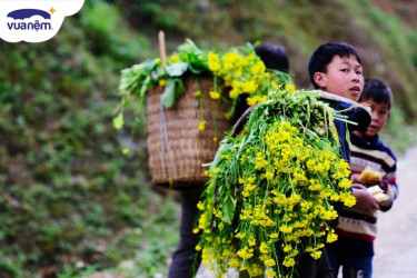 Đặc sản Mộc Châu