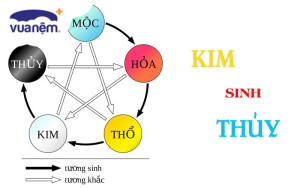 Kim sinh Thủy là gì? Kim sinh Thuỷ có tốt không?