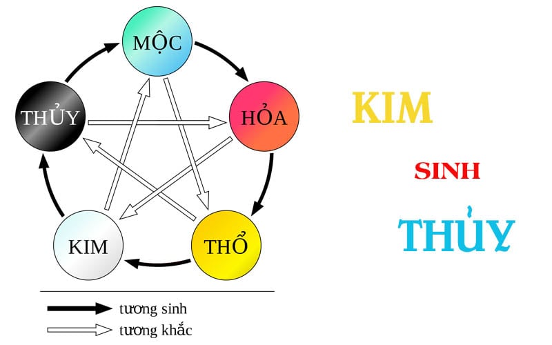 Gì Sinh Thủy - Khám Phá Ý Nghĩa và Ứng Dụng Trong Phong Thủy