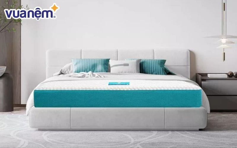 Mẫu nệm memory foam Aeroflow Fit Plus