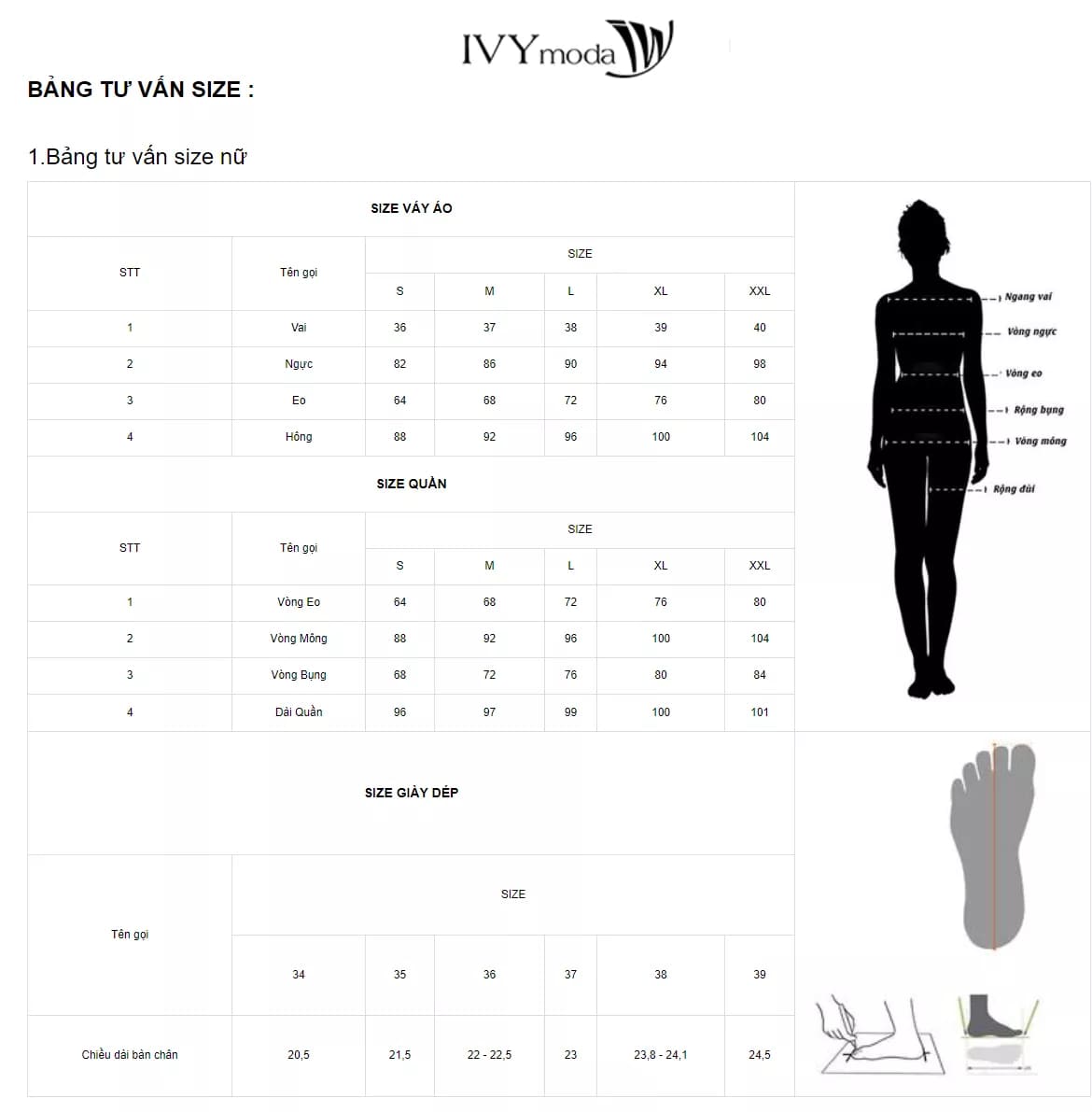Bảng thông số size váy quần nữ thương hiệu IVY Moda 