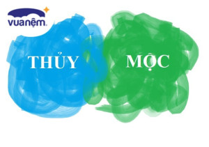 Tìm hiểu về Thủy sinh Mộc là gì trong ngũ hành tương sinh?