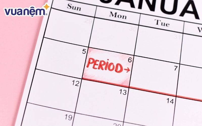 Nhiều ý kiến cho rằng tuần trăng ảnh hưởng giấc ngủ thông qua kinh nguyệt