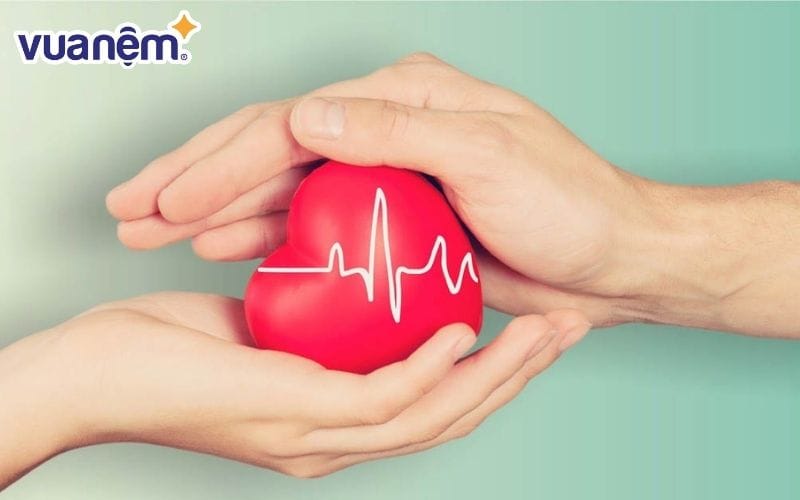 Hỗ trợ giảm nguy cơ các vấn đề tim mạch