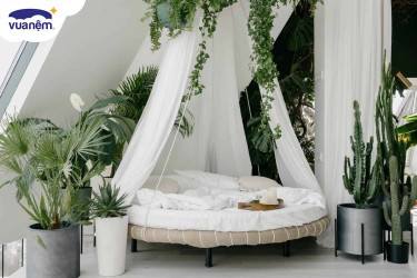 giường canopy