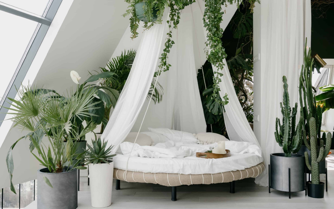 Nguồn gốc của giường canopy