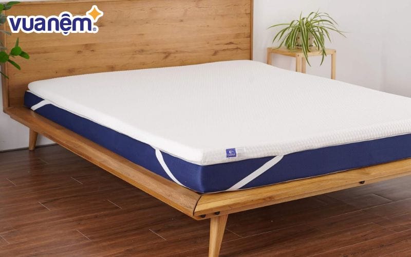 Topper đa năng Memory Foam trà xanh Goodnight Carina