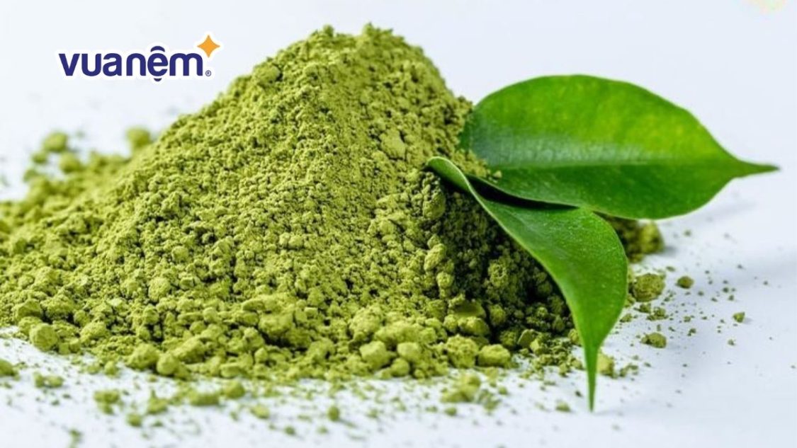 L-Theanine là gì? Mối liên hệ giữa L-Theanine và giấc ngủ