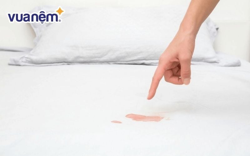 Nệm cao su bị thấm nước sẽ sinh ra ẩm mốc, khó chịu