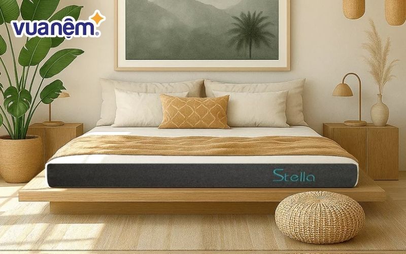 Nệm cao su foam Kim Cương Stella