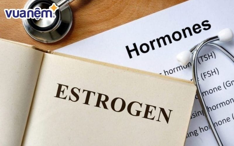 Việc suy giảm hormone là nguyên nhân chính của chứng bốc hỏa