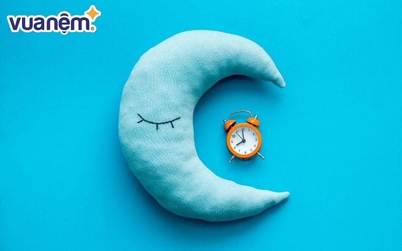 Tìm hiểu chất lượng giấc ngủ giữa cú đêm và chim sơn ca có gì khác nhau