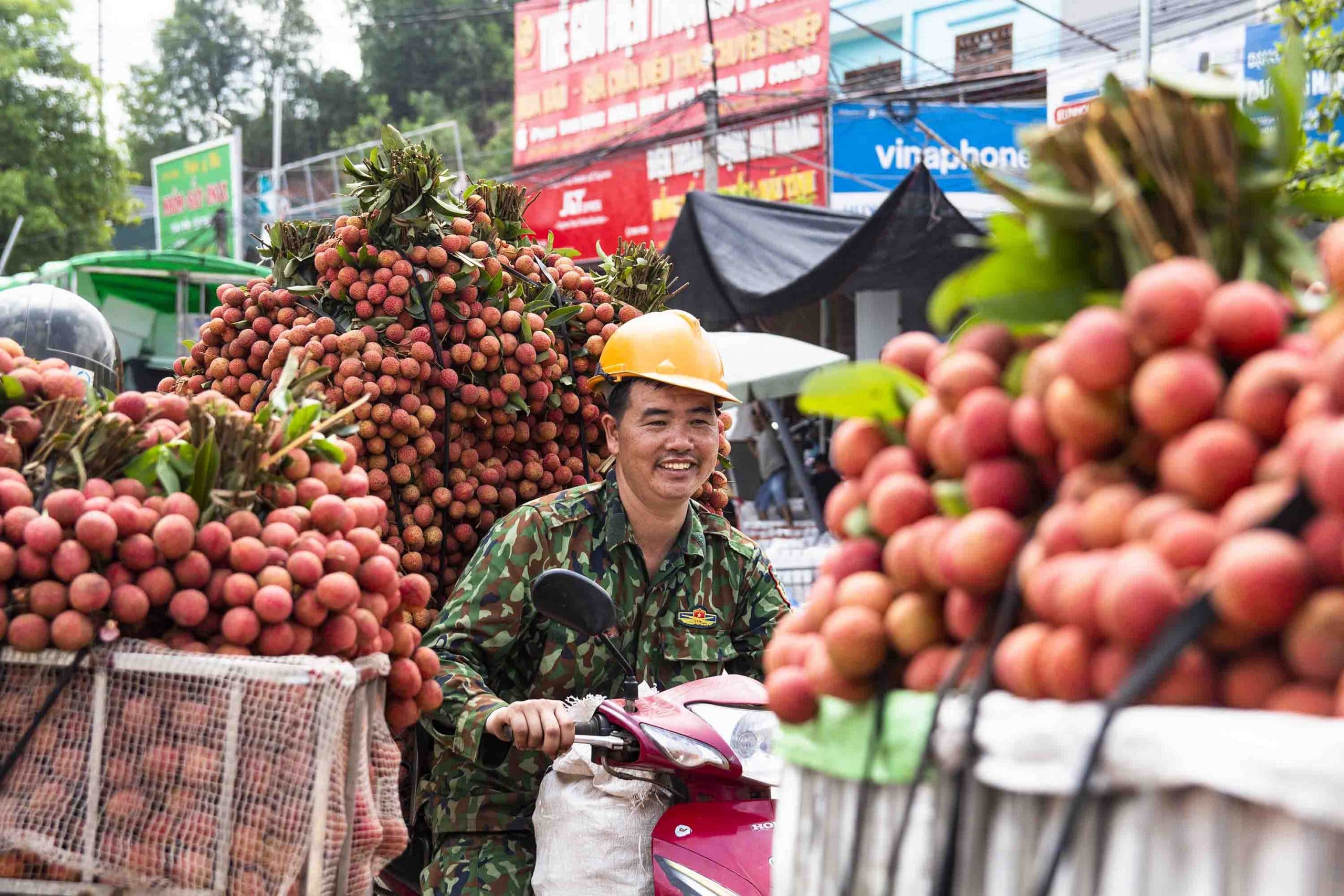  mức giá của vải thiều Lục Ngạn