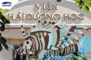 Khám phá Viện hải Dương Học Nha Trang, những kinh nghiệm cần biết