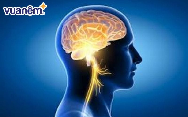 Cải thiện trí nhớ thông qua giấc ngủ