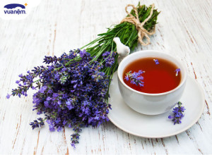 Trà hoa oải hương (lavender) có tốt không? Những lưu ý và cách pha chuẩn vị