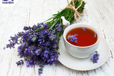 Tìm hiểu về trà hoa oải hương
