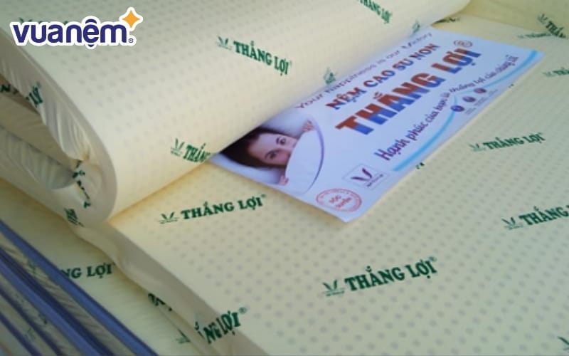 Công ty sản xuất nệm Thắng Lợi