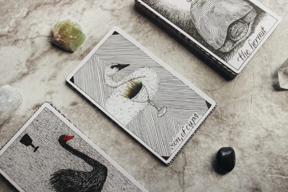 địa chỉ xem bói bài tarot tphcm hay