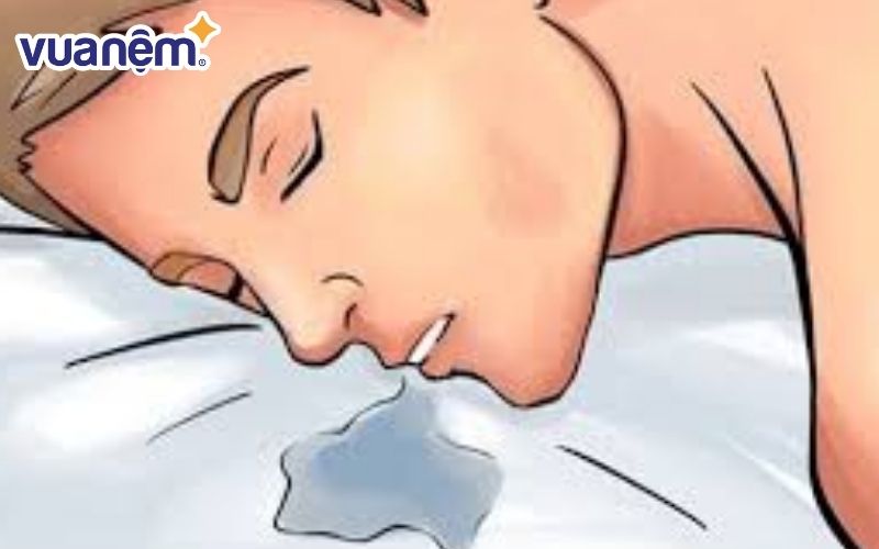 Mệt mỏi cũng khiến chảy nước miếng khi ngủ