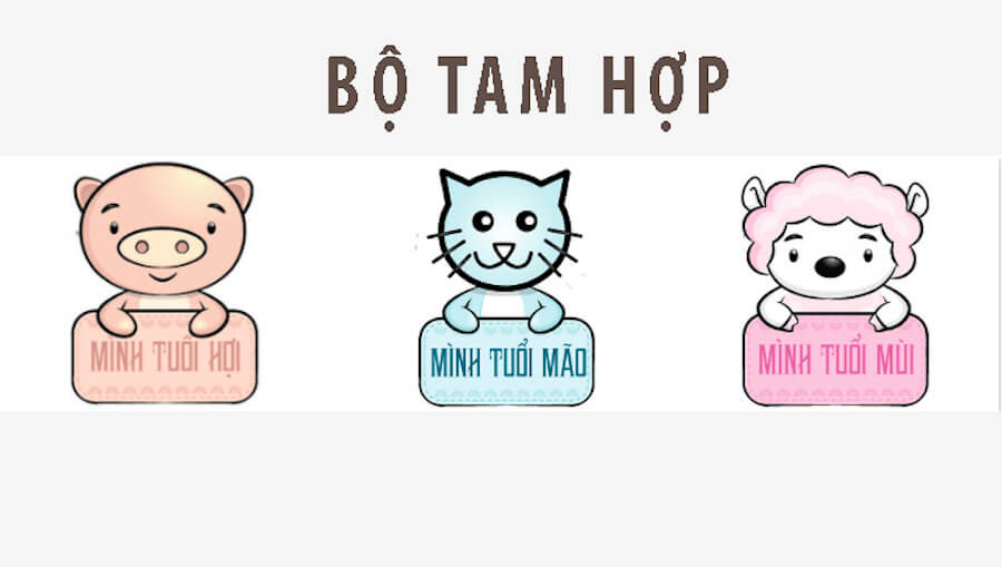 Tam hợp tuổi Hợi gồm có những người sinh năm Hợi, năm Mão, năm Mùi 