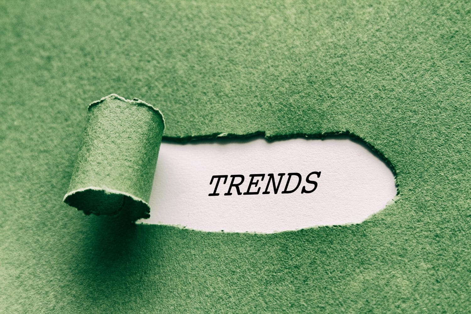 hot trend là gì