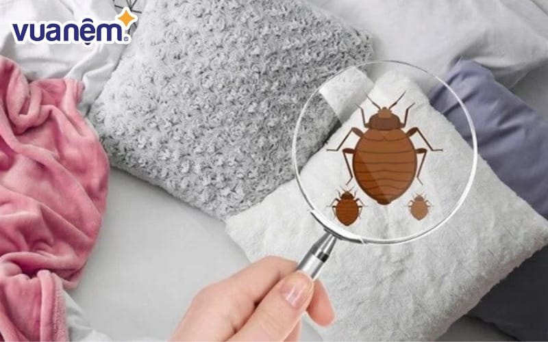 Mạt bụi có ảnh hưởng đối với những ai có làn da nhạy cảm