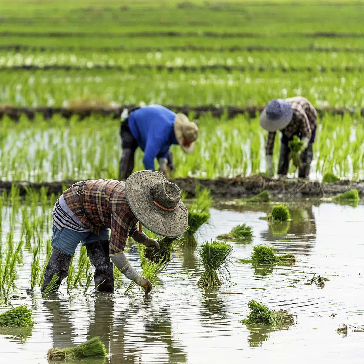 ngày tiết Lập Thu 