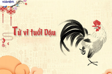 Luận giải tử vi tuổi Dậu đầy đủ và chi tiết nhất