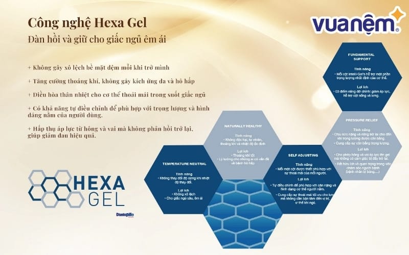 Tìm hiểu chi tiết về công nghệ Hexa gel đến từ thương hiệu Dunlopillo