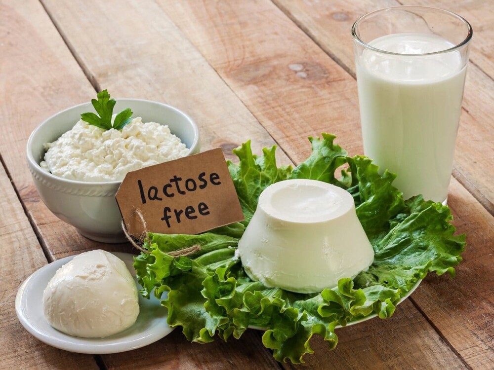 đường lactose là gì