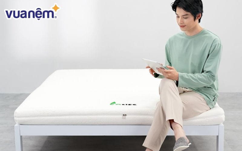 Nệm cao su Gummi 7zones thoáng khí đa chiều