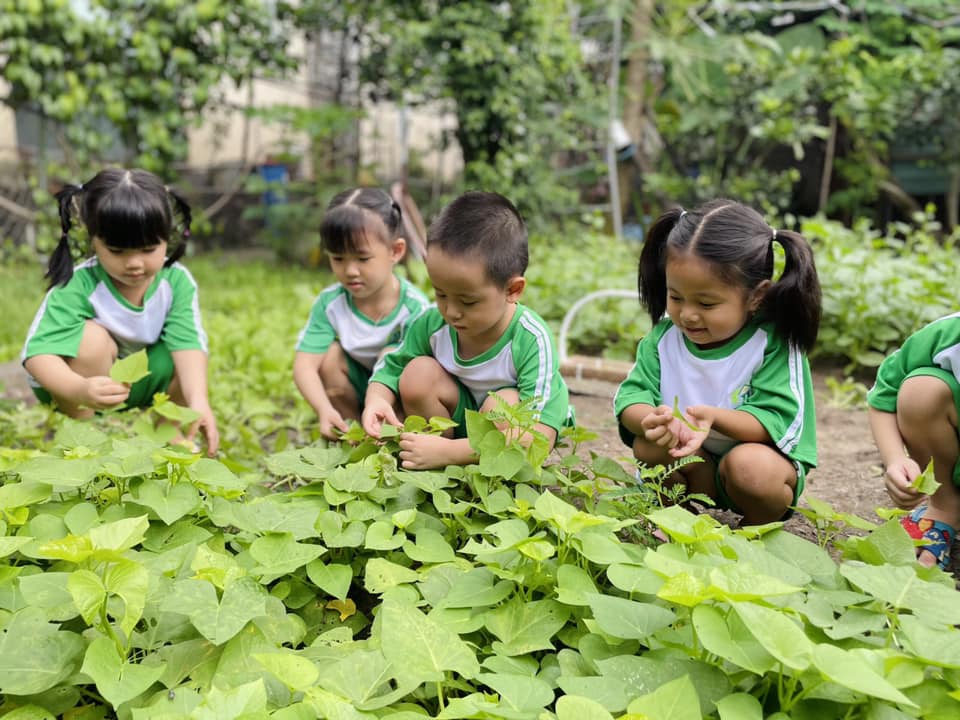 trường mầm non ở quận bình tân