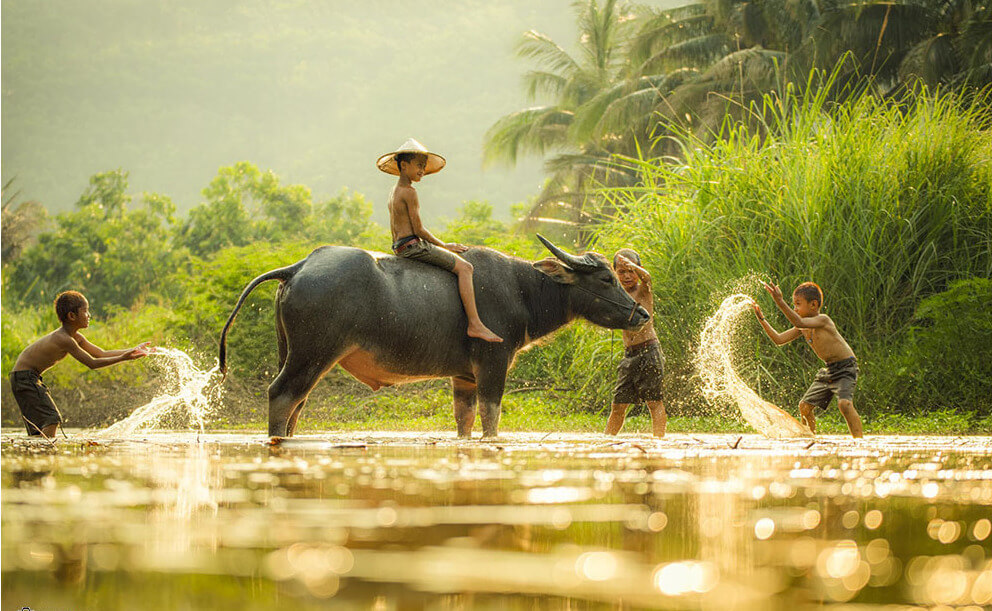 Họ là gì 