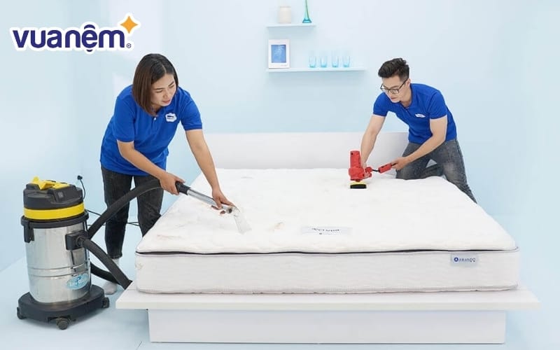 Vệ sinh đệm thường xuyên sẽ giúp loại bỏ rệp