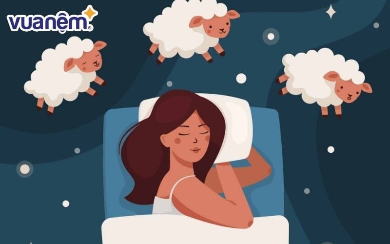 Tìm hiểu đếm cừu là gì?