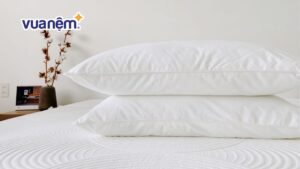 Top 10 gối ngủ cao cấp chăm sóc giấc ngủ nên mua hiện nay