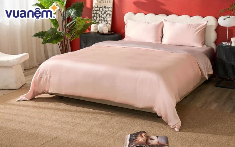 Để áp dụng trọn vẹn công thức 5 sao, việc chọn đúng nơi mua là cực kỳ quan trọng