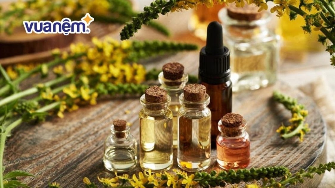 10 mùi hương gây buồn ngủ dễ chịu nên có trong phòng ngủ